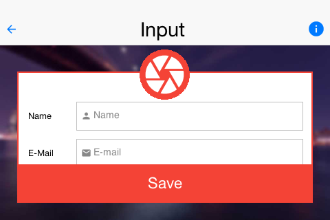 The kitchen sink input demo in landscape mode
